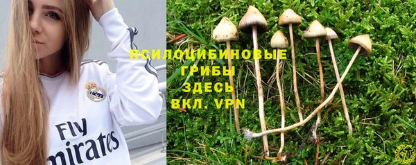 a pvp Алексин