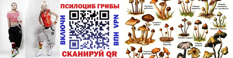 Галлюциногенные грибы MAGIC MUSHROOMS  Макушино 